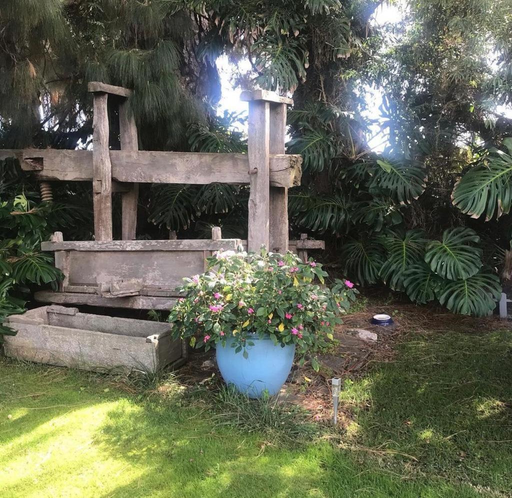 Casas La Principal Guest House San Pedro  Екстериор снимка