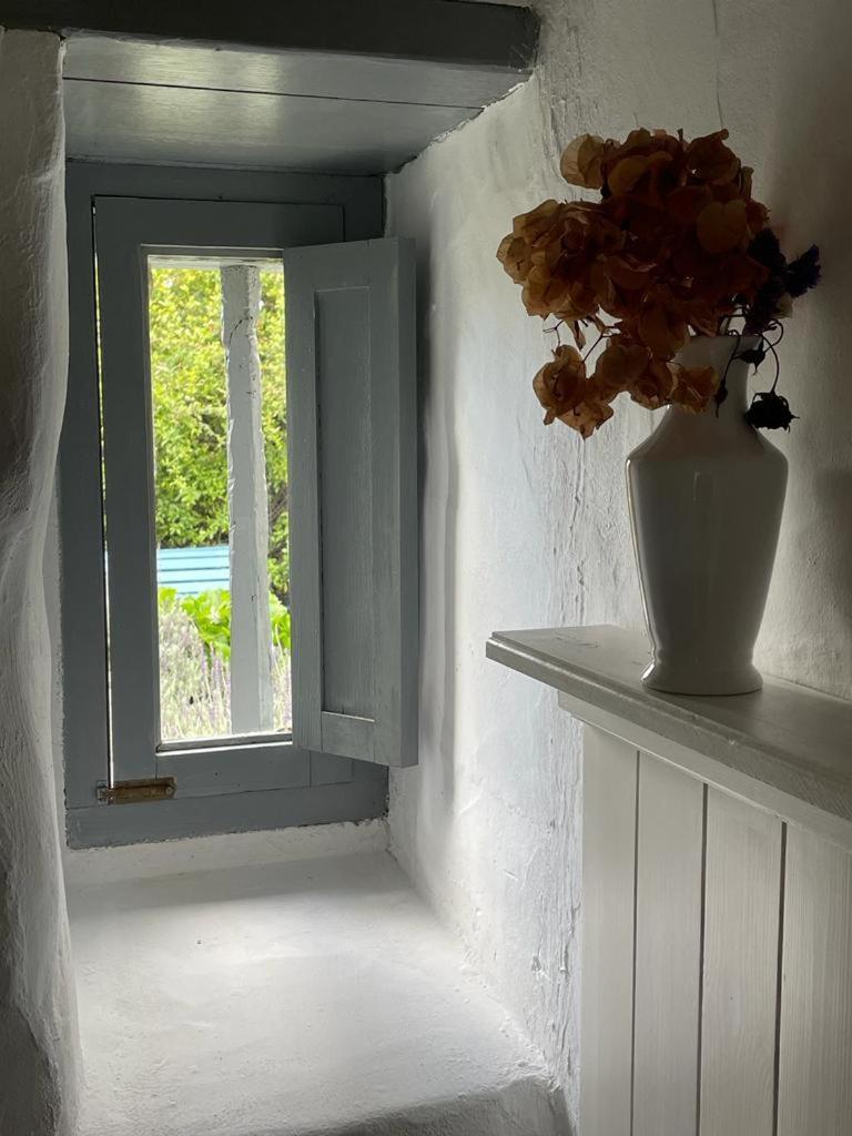 Casas La Principal Guest House San Pedro  Екстериор снимка
