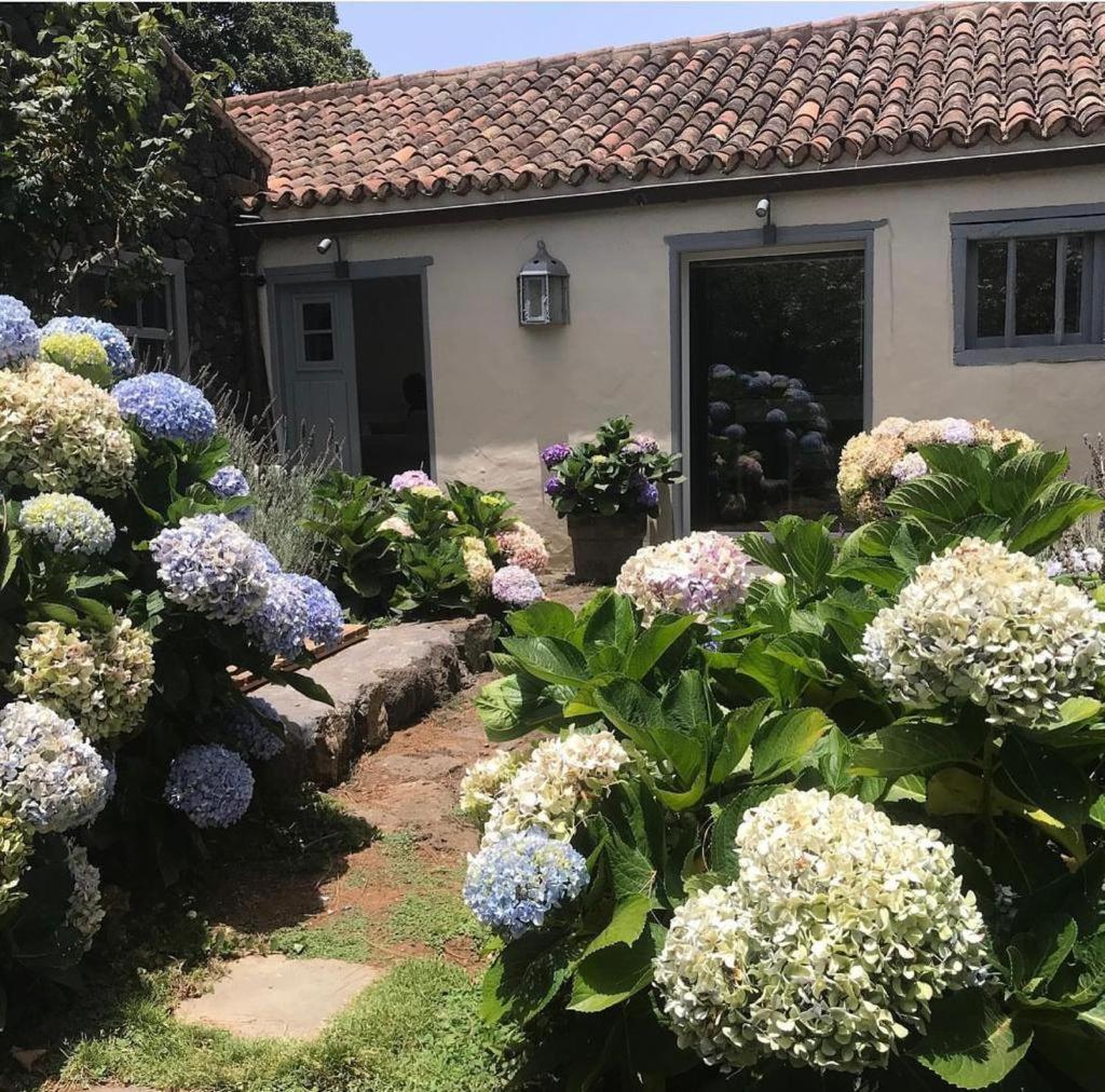 Casas La Principal Guest House San Pedro  Екстериор снимка